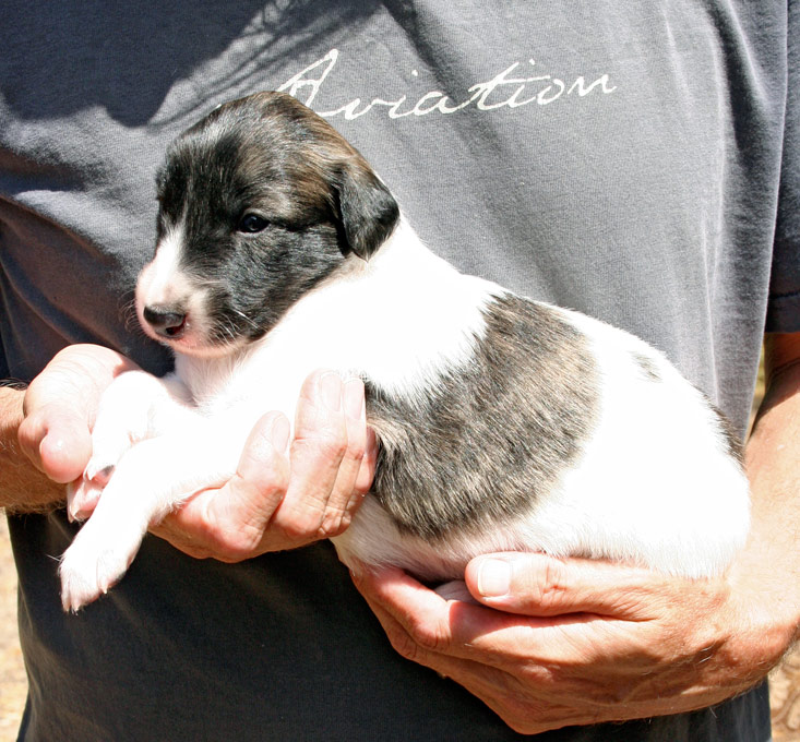 Surf Spots - Boy 2 Aviation